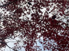 -上海不夜城广场(上海不夜城金融大厦店)