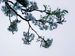 -中山公园