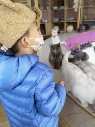 -萌宠亲子动物乐园(槐房万达店)