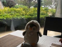 -上海滴水湖皇冠假日酒店