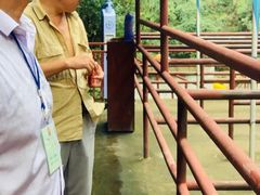 -雅鲁激流探险漂流