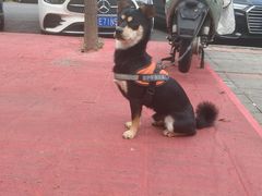 -必胜客(璞丽中心店)