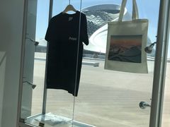 -哈尔滨大剧院