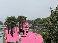 -苏州太湖西山岛开心农场