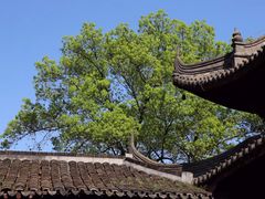 -采石矶景区