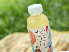 -马峦山郊野公园