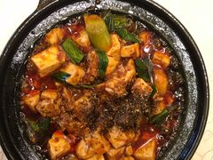 -陈麻婆豆腐总店