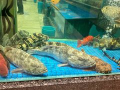 -聚福宝合苑食府(南头镇店)