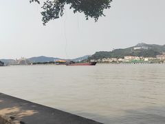 -石排湾郊野公园