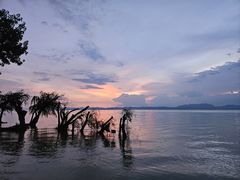 -捞渔河湿地公园