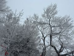 -华山风景名胜区