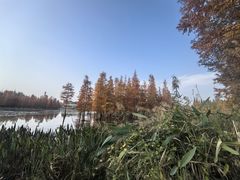 -白鹭湾湿地公园