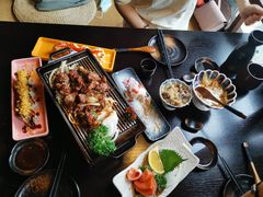 -春草居酒屋·晴子の店