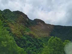 -青峰峡国家森林公园