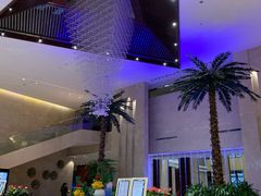 -常州环球恐龙城维景国际大酒店