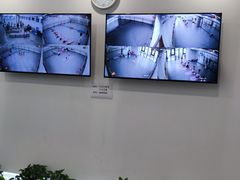 -中央芭蕾舞团·中芭艺蕾(酒仙桥明星校区)