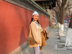 -北京国子监胡同