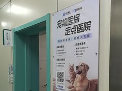 -北京观赏动物医院·24小时大型综合·猫专科·异宠专科