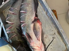 乌江鱼-木火铁锅炖活鱼(赤城分店)