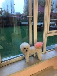 -Pink You美甲美睫纹绣定制中心