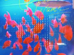 -宫七SPA·高端Massage(浦东大道店)