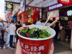 -黑色经典臭豆腐·湖南特产(潇湘文化店)