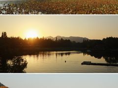 -北山街历史文化街区