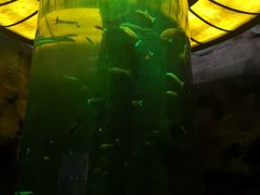 -泗洪洪泽湖湿地景区