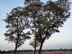 -汉长安城未央宫国家考古遗址公园