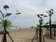 -瑶湖郊野森林公园
