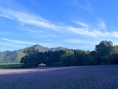 -龙庆峡风景区