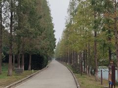 -黄河小浪底水利枢纽风景区