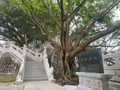 -小南山公园