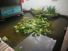 -膳和缘炒鸡店(南门路店)