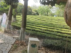 -敬亭山风景名胜区