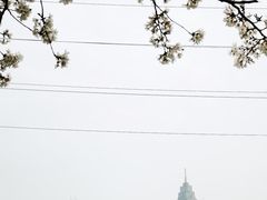 -西北湖绿化广场