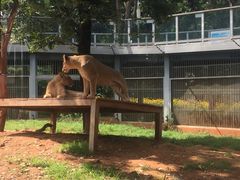 -昆明动物园