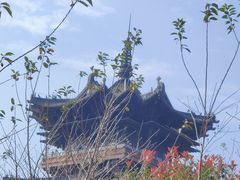 -杭州半山国家森林公园