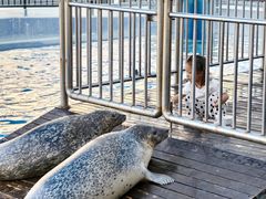-海合安天津极地海洋公园