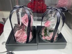 -ROSEONLY诺誓(广州K11店)