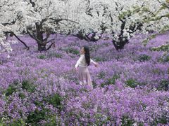 -江苏三台山国家森林公园