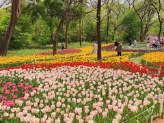 -沈阳植物园