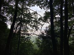 -西湖风景区十里琅珰-五云山