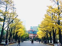 -北海道厅旧本厅舍(旧本庁舎)