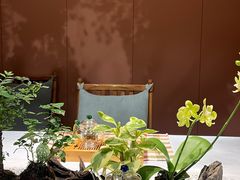 -叶叶菩提(太原别墅店)