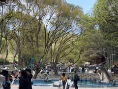 -东明山森林公园