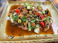 -青城甲(青城山店)