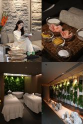 -VELEE·SPA高定疗愈会所