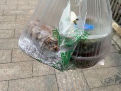 -芳婆糕团店(王府大街店)
