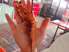 -大海别墅民宿农家院(十渡店)